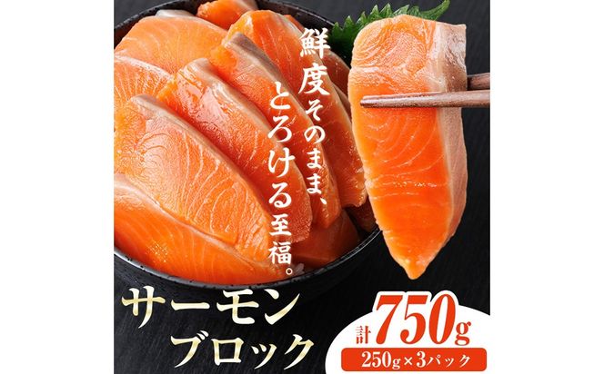 生食用 サーモン ブロック(計750g・250g×3P) 鮭 小分け 真空 パック 冷凍 刺身 シャケ サケ 魚 魚介 【AW-99】【丸正水産】