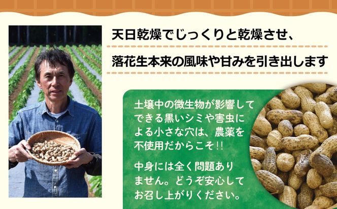 【先行予約】【12月上旬から発送】千葉県産 カラ煎り落花生 千葉半立 600g（200g×3）　SMF004
