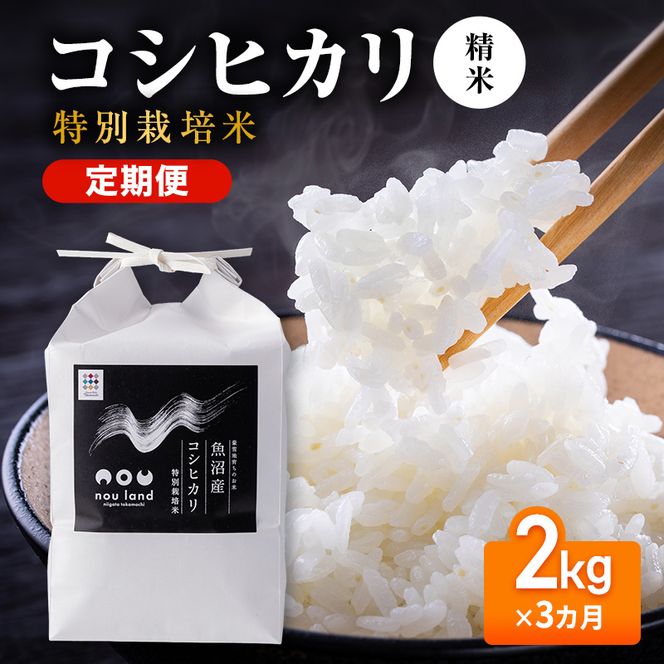 【先行予約】令和8年産 定期便 コシヒカリ特別栽培 精米 2kg×3カ月