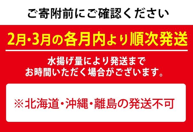 【0301103b】＜定期便・全2回(2月・3月)＞「冬の鮮魚BOX」朝獲れ発送！鮮魚問屋が厳選したおまかせ鮮魚(約2kg程度×2回)魚 魚介類 鮮魚 海鮮 詰め合わせ セット 刺身 天ぷら 煮つけ 塩焼き【江川商店】