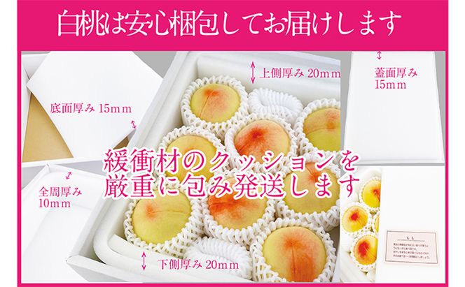 桃 2026年 先行予約 岡山の白桃 300g以上×6玉 白桃 旬 みずみずしい 晴れの国 おかやま 岡山県産 フルーツ王国 果物王国 夏の果物 果汁 とろける 上品な香り 