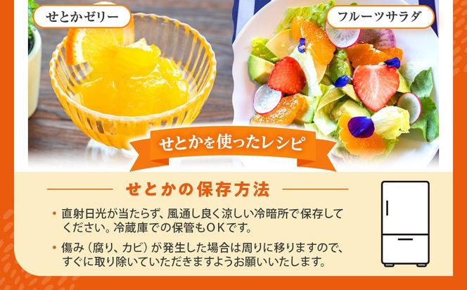 せとか ＜別名-みかんの大トロ＞ 和歌山県有田川町産 オレンジ 訳あり 8kg  	CE045