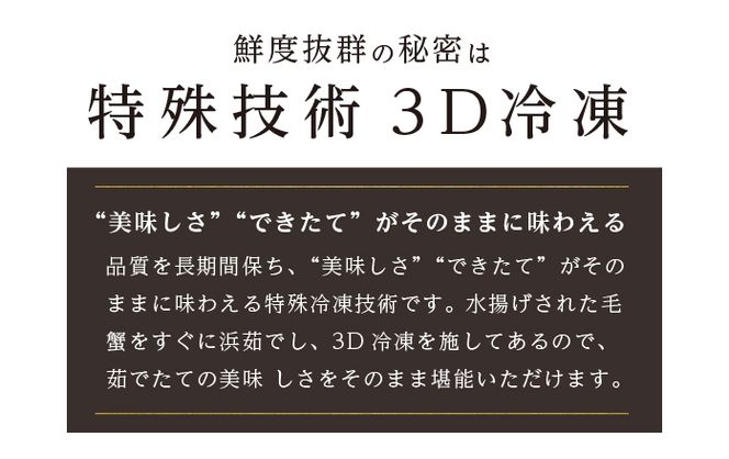 訳あり 3D冷凍 北海道産冷凍ボイル毛がに 650g前後×1尾 [ 毛カニ 蟹 毛ガニ カニ かに ] 