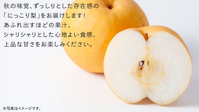 ＼ 選べる内容量 ／ にっこり 梨 3kg（4〜5玉）/ 5kg （7～10玉）/ 10kg （16～20玉）【2026年10月より発送開始】（茨城県共通返礼品 [梨]：大子町産） なし 旬 お取り寄せ フルーツ 甘い ジューシー 和梨 時期