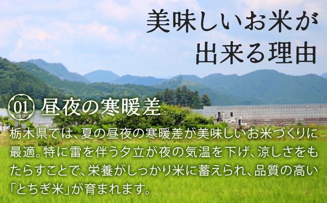 栃木県鹿沼市産 とちぎの星 無洗米 令和7年産 2kg | 水稲うるち精米 単一原料米 お米 特A 大粒 甘さ ※沖縄・離島への配送不可