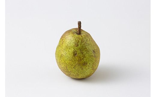 FYN6-430 《2026年先行予約》ご家庭用 山形県産西洋梨 ラ･フランス5kg 2026年11月中旬から順次発送 洋梨 洋なし ラフランス 秋果実 果物 くだもの フルーツ 訳あり 農業者 農家 支援 自宅 家庭 産地直送 山形県 西川町 月山