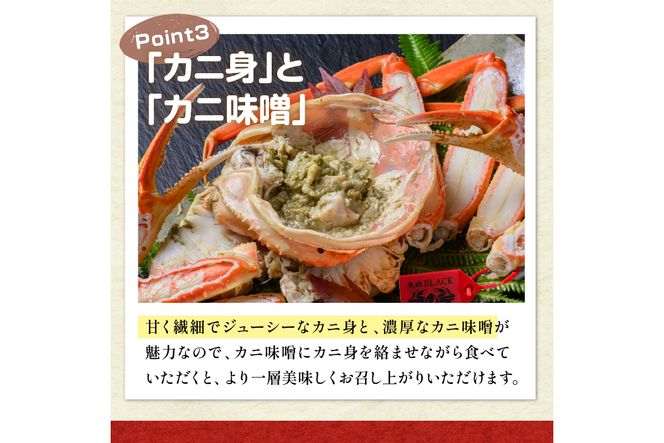 訳あり　【蟹の匠 魚政】茹で　プレミアムズワイガニ 魚政BLACK（松葉ガニ・越前ガニ） 特大サイズ（1200～1300g） 2匹セット(1月～3月発送） 松葉蟹 蟹 かに カニ ガニ がに ボイル まるごと 海産物 海鮮 魚介 魚介類 甲殻類 海の幸 京都 京丹後 京丹後市 ふるさと納税 蟹 送料無料　UO01325