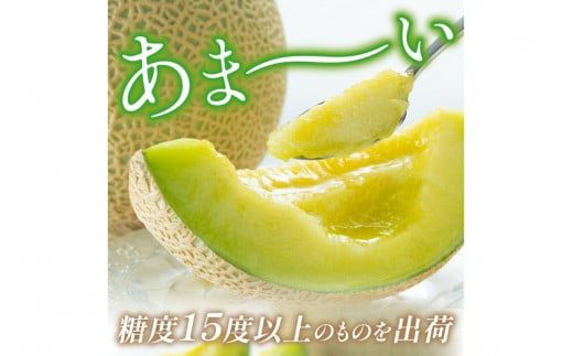 【先行予約／数量限定150】砂姫メロン1玉！大玉2L以上！女性に人気！（2026年6月下旬～発送）　JK00027