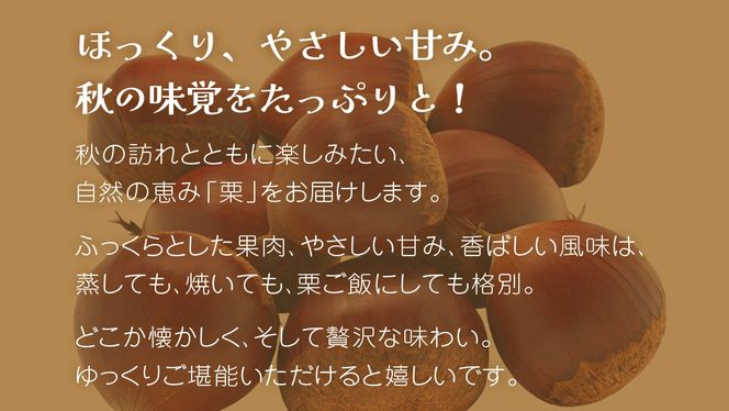 《 選べる 内容量 》秋の味覚「 栗 」2kg 3kg 5kg【2026年9月上旬発送開始】(茨城県共通返礼品：大子町) くり マロン 果物 スイーツ モンブラン 栗きんとん 生栗 焼き栗 甘栗