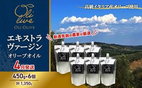 高級イタリア産 エキストラ・ヴァージン・オリーブオイル 450g×6個【2026年4月中旬より順次発送】調味料 油 オリーブ油 食用油 静岡県 袋井市
