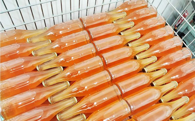 KANTA PETILLANT CAMPBELL ROSE2025 ロゼ 微発砲 ワイン 750ml×1本 【2390】