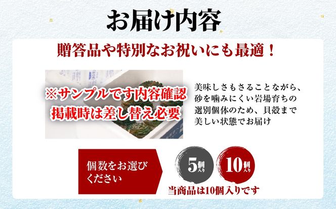 北海道室蘭産 天然活蝦夷あわび 10個入（1個100g～120g前後）（2026年1月中旬頃お届け） MROH007