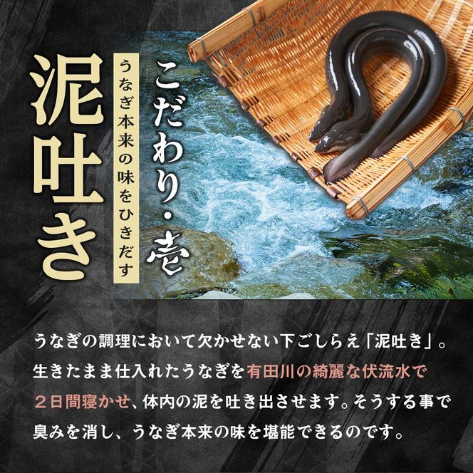 年内発送 国内産うなぎ蒲焼4尾（タレ・山椒付き）合計500g以上【申込は2025年12月24日まで】 	Y015