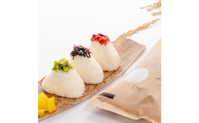 令和7年産！魚沼産こだわり従来コシヒカリ【農家直送!】6kg(2kg×3袋) お米 米 コメ 