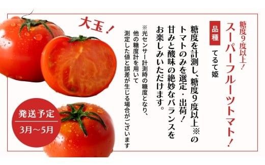 【 野菜ソムリエ 厳選 】 旬 の フルーツ 定期便 ( こだまスイカ スタート ) 4回 先行予約 果物 いちご イチゴ 苺 とちおとめ やよいひめ かおり野 すいか ピノガール トマト フルーツトマト メロン アールスメロン 新鮮 おすすめ ソムリエ 野菜 [AF101ci]