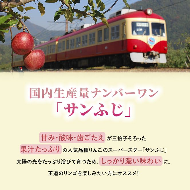 【2026年発送】志賀高原の麓で育った サンふじ （家庭用）約10kg りんご 10kg フルーツ 果物 デザート 長野