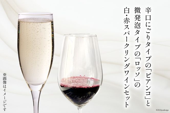 ワイン 白泡 赤泡 2本 セット テンポ ビアンコ ロッソ 各 750ml [Poggio Verde（ポッジョ ヴェルデ） 長野県 池田町 48110664] ワインセット 赤ワイン 白ワイン スパークリング アルコール 国産ぶどう使用 お酒 酒 アルコール