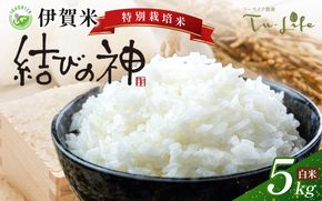 特別栽培米・伊賀米結びの神 5kg tuli0002