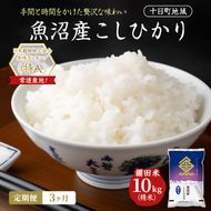 【3ヶ月定期便】魚沼産こしひかり 棚田米(十日町地域) 精米 10kg(5kg×2) 米 お米 コシヒカリ 定期 十日町市