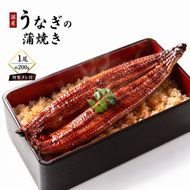 【国産うなぎ】ふっくら香ばしい 鰻の蒲焼き 1尾 容量200g 特製タレ付 うなぎ ウナギ 蒲焼 うな重 温めるだけ 湯せん ギフト 贈り物