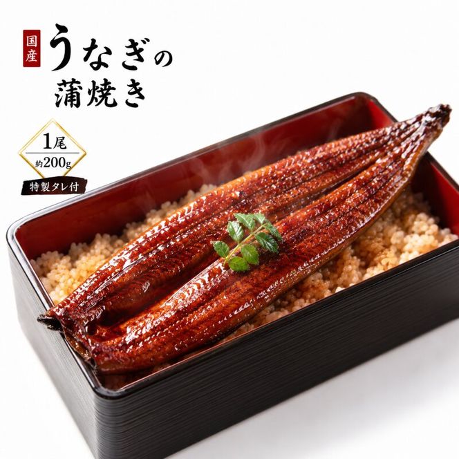 【国産うなぎ】ふっくら香ばしい 鰻の蒲焼き 1尾 容量200g 特製タレ付 うなぎ ウナギ 蒲焼 うな重 温めるだけ 湯せん ギフト 贈り物