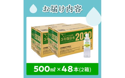 北アルプス立山連峰 5年保存水 500ml×24本×2ケース 500ミリリットル 名水 ミネラルウォーター 防災 備蓄 災害対策 国産 飲料 F6T-735