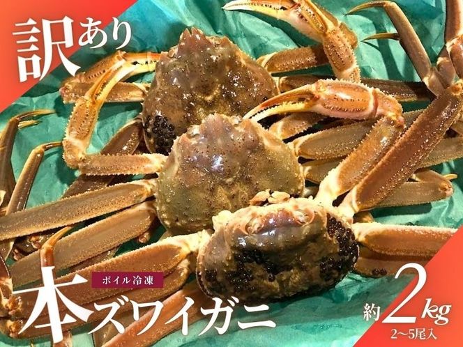 【数量・期間限定】【訳あり】新潟県村上市寝屋漁港産　本ズワイガニ　約2kg（2～6尾入） 1079001
