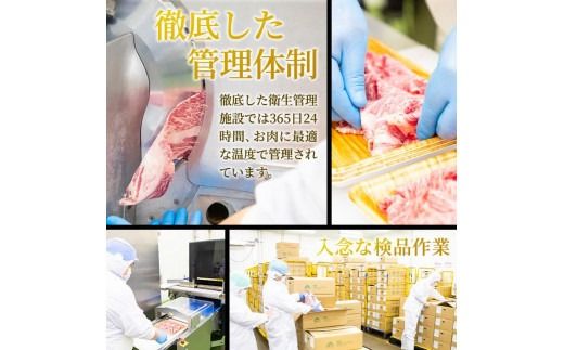 おおいた豊後牛 切り落とし (計800g・200g×4P) 国産 牛肉 肉 和牛 ブランド牛 小分け 大分県産 大分県 佐伯市 【FW011】【 (株)ミートクレスト】