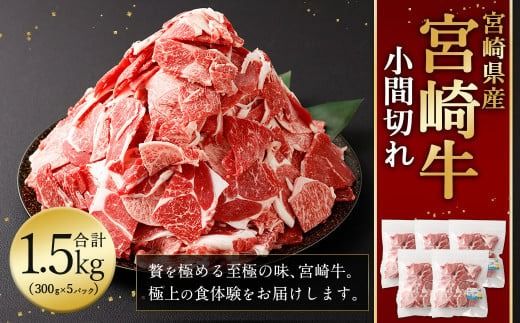 y{茧S璬z{苍 Ԑ؂ 1.5kg2026N2{菇oׁyc1195_mc_x1z V Əj AEj w  Ԍ z