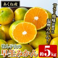 ＜先行予約受付中！2025年9月下旬以降順次発送予定＞数量限定！竹ん子山の早生みかん(約5kg) 国産 鹿児島県産 阿久根産 ミカン 蜜柑 みかん 柑橘 果物 フルーツ 温州みかん 早生みかん 果実 期間限定【竹ん子山】akn097-02