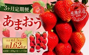 【3ヶ月定期便】 あまおう 2パック×3回 （計6パック） 【2026年2月上旬～4月上旬発送予定】 いちご イチゴ 果物 果実 フルーツ 福岡県 太宰府市 冷蔵