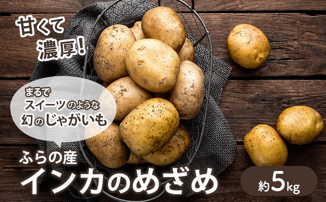 【2026年秋冬発送】濃厚な甘さ！黄金のじゃがいも インカの目覚め 約5kg 野菜 芋 インカ