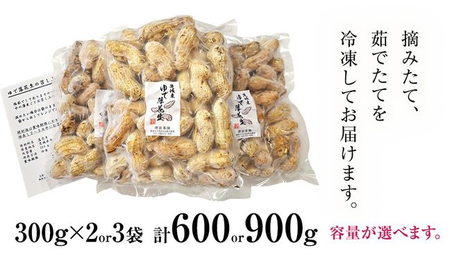 【 選べる 袋数 】 牛久市産 茹で 落花生 1袋 300g入り《 2袋 or 3袋 》 茹で落花生 ゆで落花生 ピーナッツ ナッツ 詰合せ 豆 無塩 塩分不使用 おつまみ おやつ お菓子 素焼き マメ まめ 料理 お茶漬け 国産 小分け お取り寄せ グルメ 茨城県