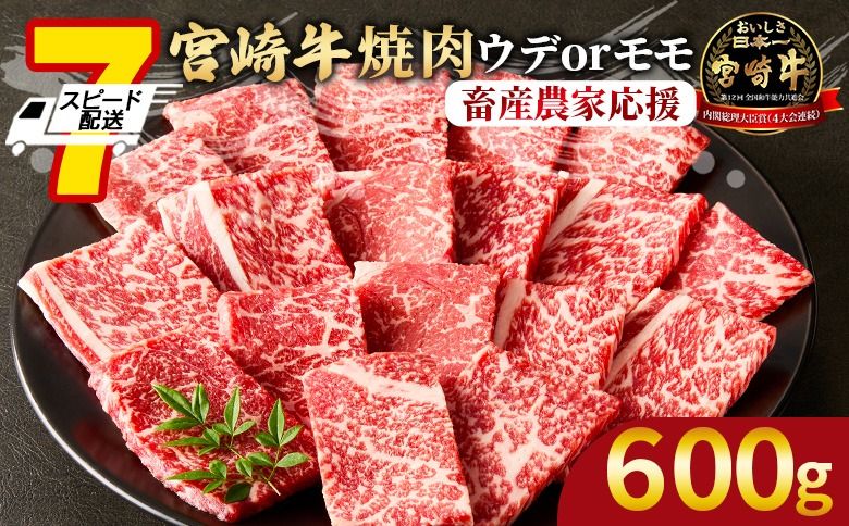 [畜産農家応援][宮崎牛 赤身焼肉 1パック(600g)]入金確認後、7営業日以内に出荷 [国産 黒毛和牛 牛肉 牛 精肉 焼肉 スライス ブランド牛 贈答品 ギフト 贈り物 化粧箱 ミヤチク 宮崎県 国富町][b0990_my_ouen]