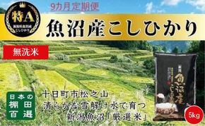 【令和8年産 先行予約】 無洗米 9カ月 定期便 日本棚田百選のお米 天空の里 魚沼産 こしひかり 5kg×9回 米 お米 コメ