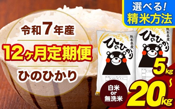 令和7年産 【12ヶ月定期便】 無洗米 も選べる 白米 米 ひのひかり 5kg 10kg 20kg 《お申込み翌月から出荷》熊本県 大津町 国産 熊本県産 白米 精米 無洗米 送料無料 ヒノヒカリ こめ お米---hn7tei_138000_5kg_mo12_oz_h---