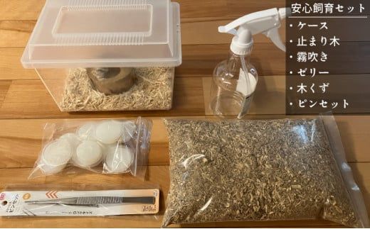 【1セット限定！】完璧育成！上峰町産「ヘラクレスオオカブト」 N-95