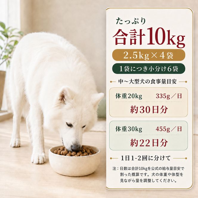 ビューティープロ ドッグ 大粒タイプ 1歳から 2.5kg ｘ4(ケース単位) ドッグフード