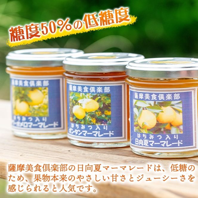 isa549 手作りはちみつ入り日向夏マーマレード(計6個・各140g)日向夏の果肉が入った低糖のハンドメイドジャム【薩摩美食倶楽部】