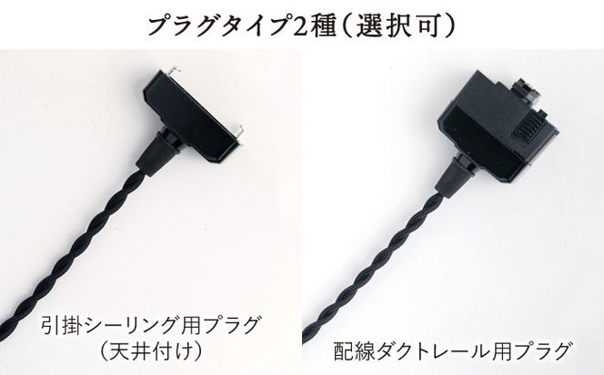 【受注生産】ペンダント ライト 3（ガラス 径20cm） 糸島市 / タビノキセキ [ADB038] ライト インテリア 照明 天井 シーリングライト 明かり