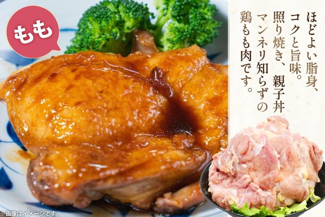 鶏肉 もも肉 2kg むね肉 3kg セット 計 5kg 未カット 宮崎県産 冷凍 [アイフーズ 宮崎県 日向市 452061698] とり肉 鳥肉 モモ肉 もも肉 むね肉 ムネ肉 胸肉 小分け 若鶏 宮崎