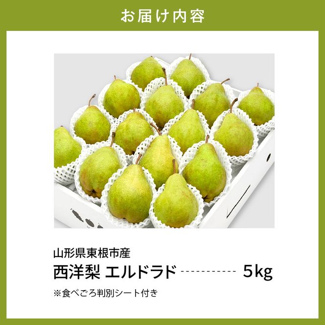 【令和6年産 先行予約】西洋梨エルドラド5kg　秀品　化粧箱入り 山形県 東根市 東根農産センター提供 hi027-144