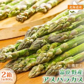 【春野菜 鮮度抜群 】富良野産 アスパラガス サイズ無選別 800g×2箱｜北海道富良野市 4～5月上旬発送 シャキシャキ食感 贅沢 ギフト プレゼント アスパラ アスパラガス グリーンアスパラ 料理用 春季限定