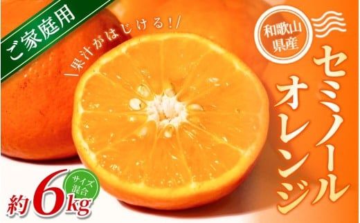 ya̎RI쒬zyƒpzI Z~m[IW 6kg a̎RY 2S~2LTCY2026N4{`5{ɏymrmt036z
