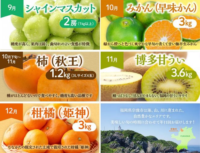 【定期便/年11回】JAむなかた厳選！旬のフルーツ定期便【JAほたるの里】_HB0171