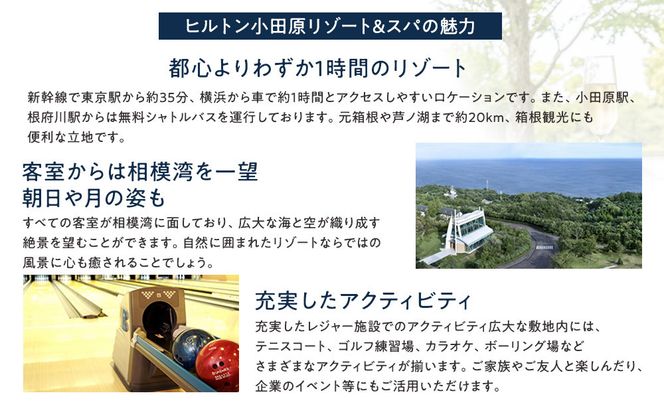ヒルトン・スーペリア・ツインルーム宿泊プラン　1泊夕朝食付き＜1組2名様＞★オーシャンビュー！天然温泉大浴場、プール施設利用含む【オーシャンビュー フィットネス 天然温泉大浴場 バーデゾーン ヒルトン 神奈川県 小田原市 】● 142069_BG004
