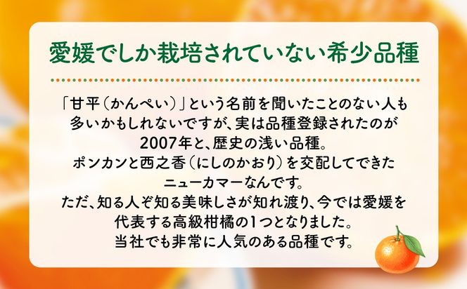 【先行予約】産地直送！愛媛県産甘平 3kg（訳あり）（2027年1月下旬より発送予定） IKTF020