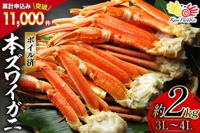 かに【12/23決済完了分まで年内配送】 ボイル済み 本ずわいがに 脚 3L～4L 総重量 2kg [カネダイ 宮城県 気仙沼市 20564764] カニ 蟹 ズワイガニ ずわい蟹 ズワイ蟹 ずわい ズワイ 海鮮 魚介類 カニ脚 蟹脚 足 ボイル ご褒美