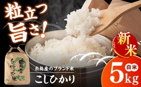 【令和8年産】 こしひかり 白米 5kg 糸島市産 糸島市 / 糸島の恵み コメ こめ ご飯[AGR021]
