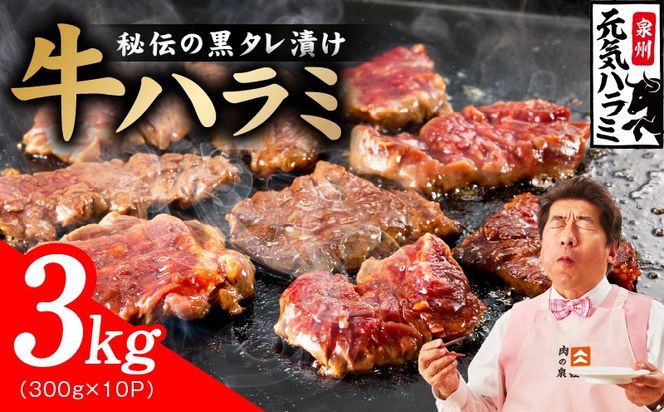 030D278 【新登場】極旨黒ダレ 牛ハラミ肉 3kg（300g×10P）【牛肉 はらみ 小分け 焼肉 お弁当 BBQ 訳あり ワケアリ わけあり サイズ不揃い 規格外 TVで話題】